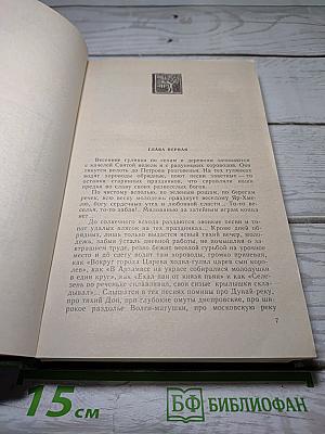 В лесах. Книга вторая