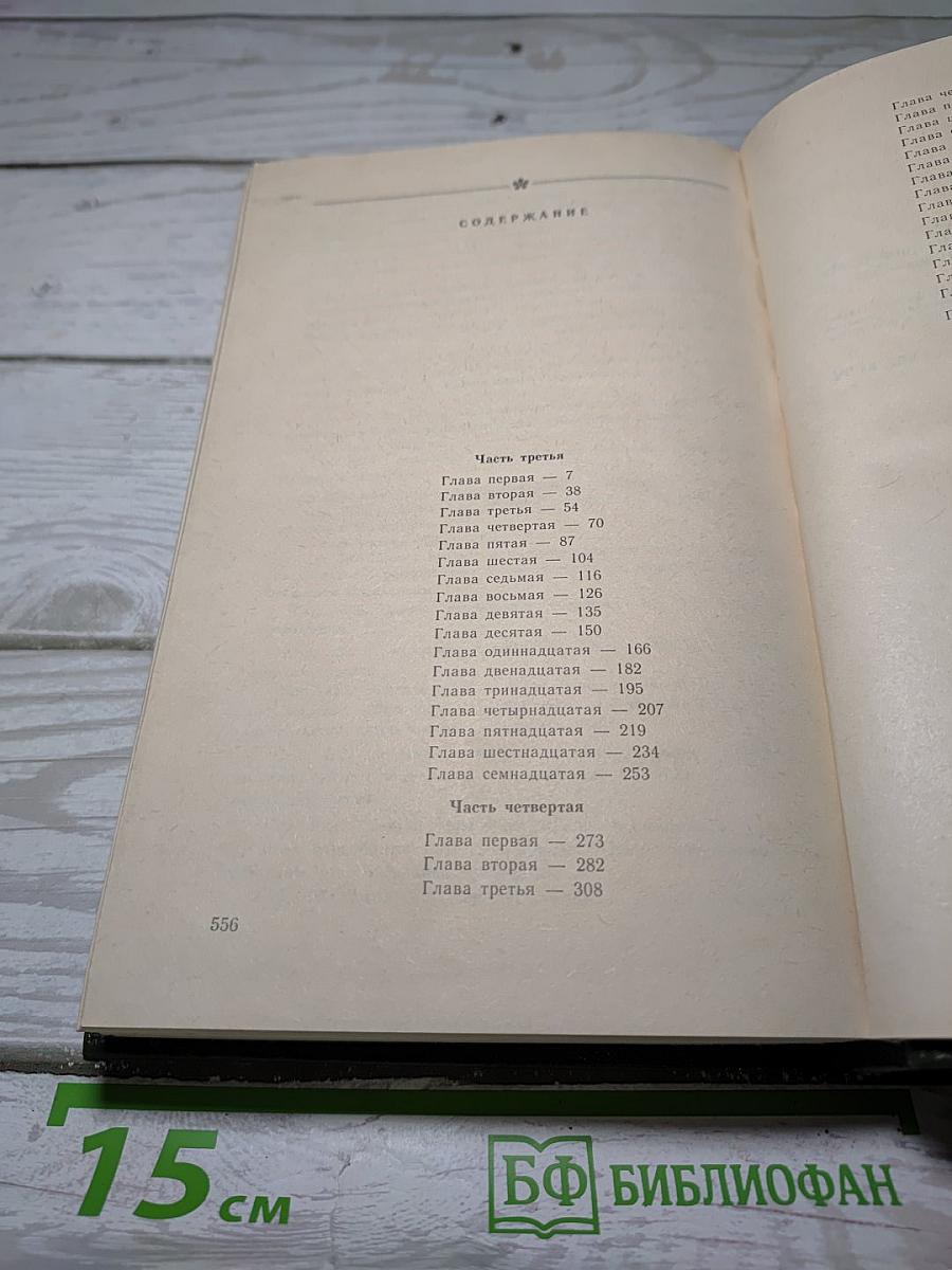В лесах. Книга вторая