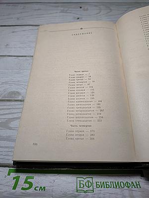 В лесах. Книга вторая