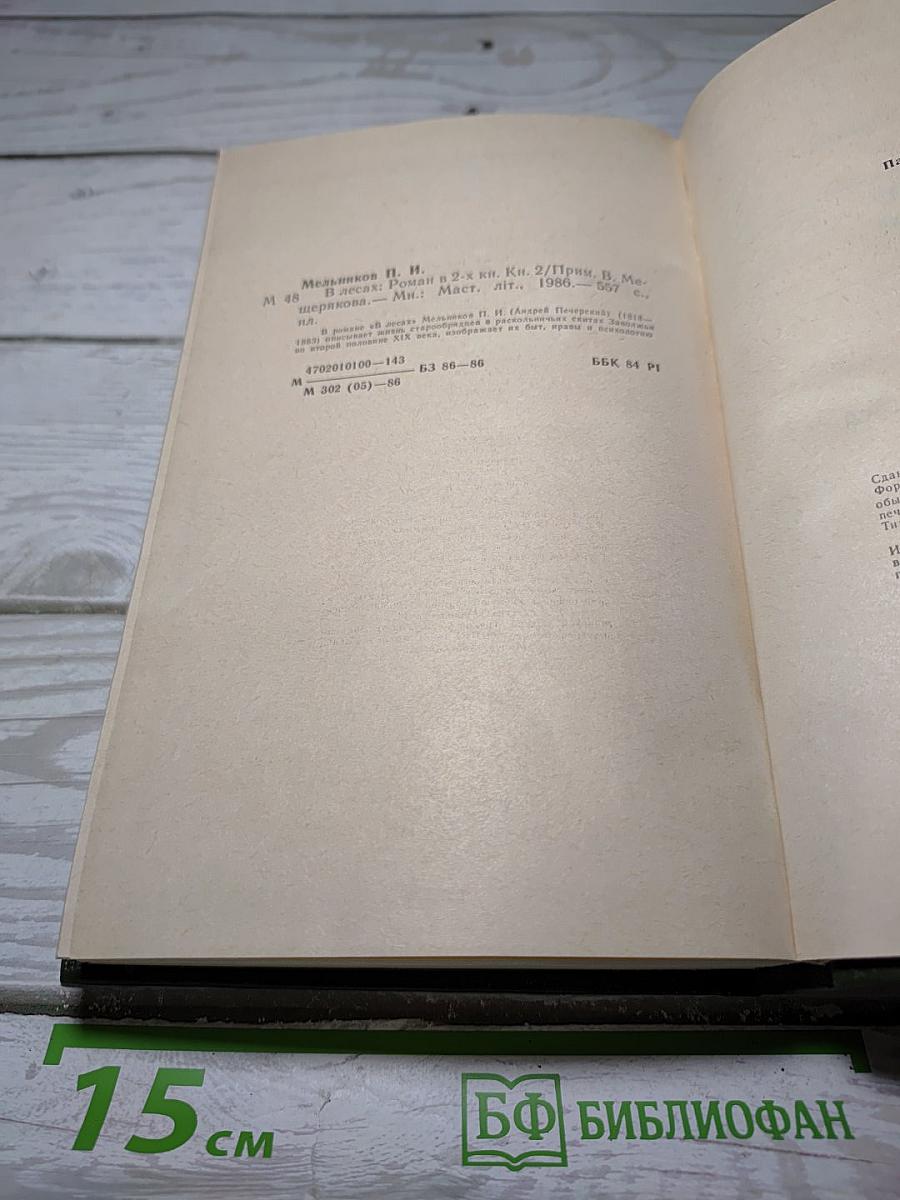 В лесах. Книга вторая