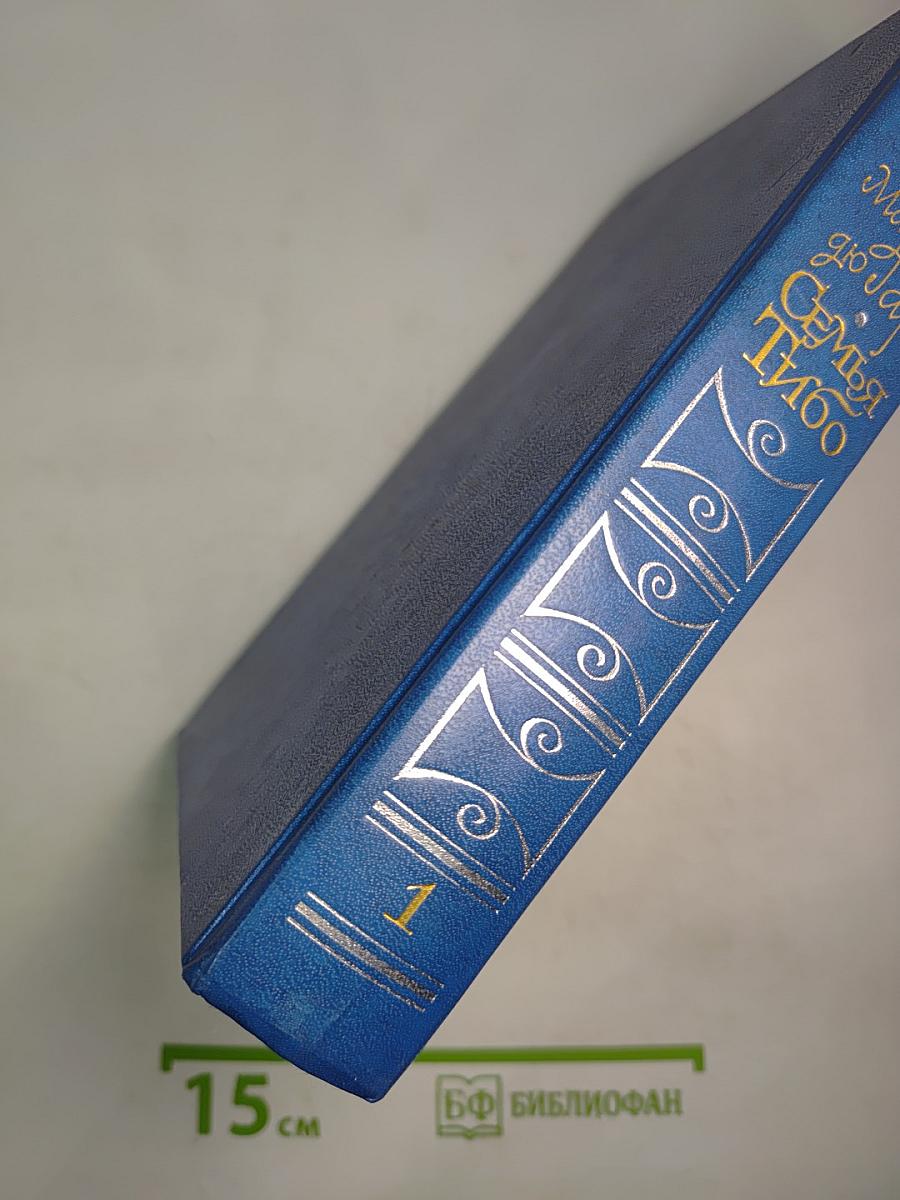 Семья Тибо Том 1