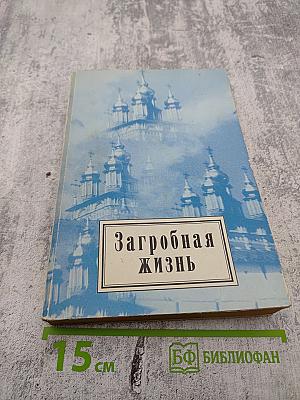 Загробная Жизнь