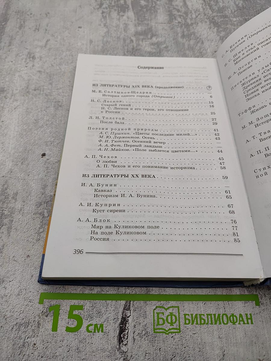 Литература. 8 класс. Часть 2