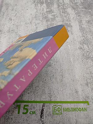 Литература. 8 класс. Часть 2