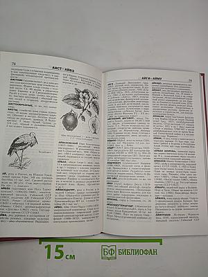 Новая иллюстрированная энциклопедия. Кн. 1. Аа-Ар