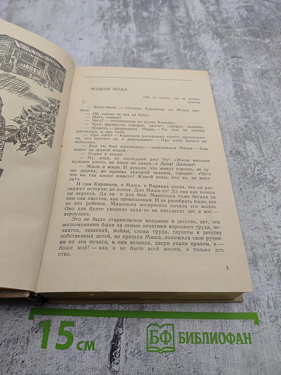 Во всю Ивановскую