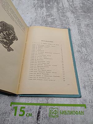 Черный корсар