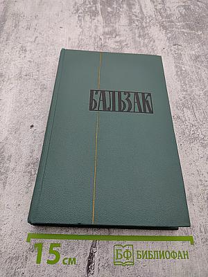 Человеческая комедия. Собрание сочинений в 24 томах. Том 13