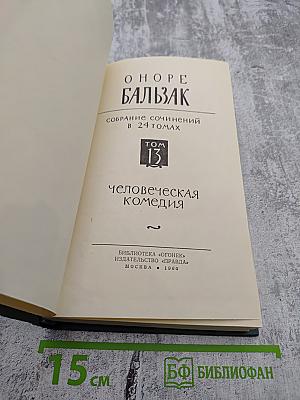 Человеческая комедия. Собрание сочинений в 24 томах. Том 13