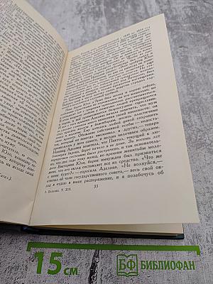 Человеческая комедия. Собрание сочинений в 24 томах. Том 13