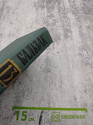 Человеческая комедия. Собрание сочинений в 24 томах. Том 13