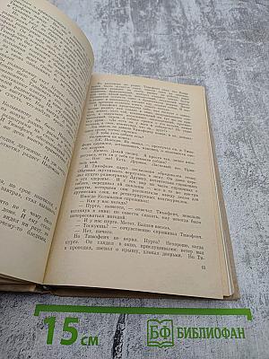 Обыкновенная Арктика