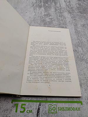 Последний снег