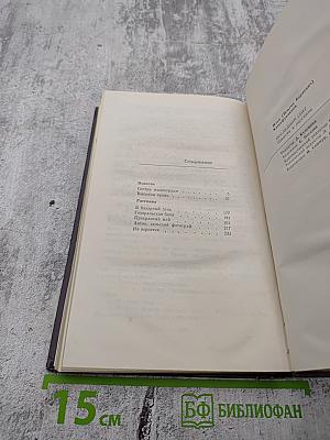 Последний снег