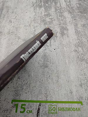 Последний снег