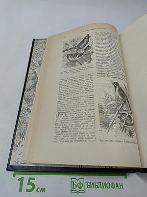 Жизнь животных. Том II. Птицы