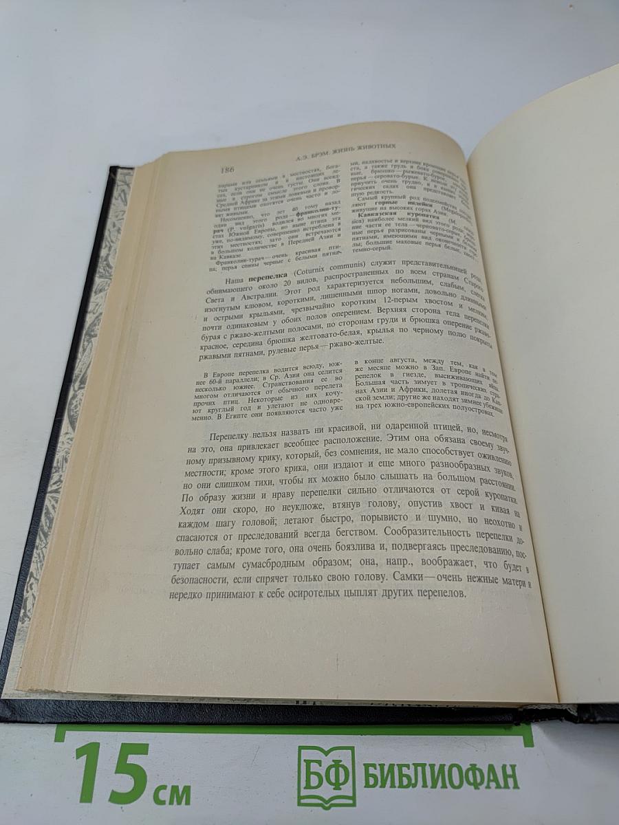 Жизнь животных. Том II. Птицы