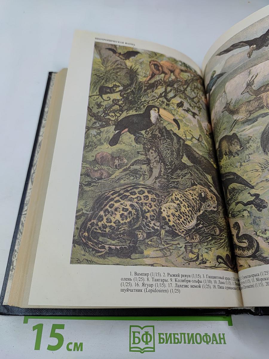 Жизнь животных. Том II. Птицы