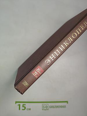 Новая иллюстрированная энциклопедия. Би-Ве