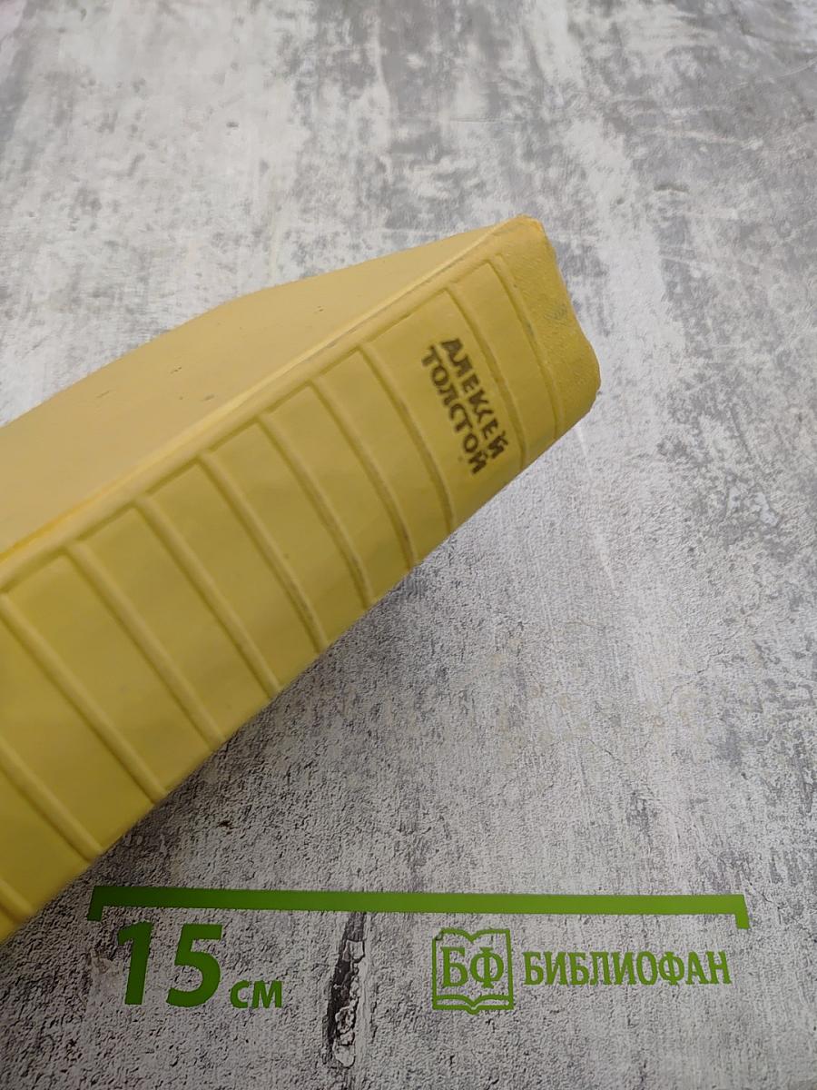 Собрание сочинений. Том первый: Повести и рассказы 1908-1911, Чудаки