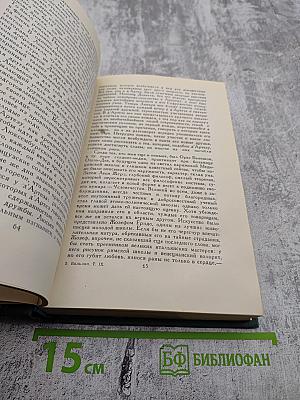 Собрание сочинений в 24 томах. Том 9: Человеческая комедия. Утраченные иллюзии. Провинциальная знаменитость в Париже