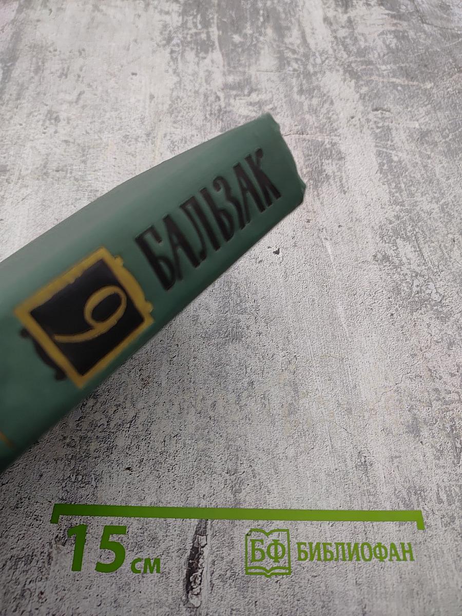 Собрание сочинений в 24 томах. Том 9: Человеческая комедия. Утраченные иллюзии. Провинциальная знаменитость в Париже