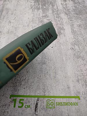 Собрание сочинений в 24 томах. Том 9: Человеческая комедия. Утраченные иллюзии. Провинциальная знаменитость в Париже