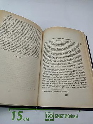Благовестник, или Толкование Блаженного Феофилакта, Архиепископа Болгарского, на Святое Евангелие. В двух частях. Часть первая: Евангелие от Матфея