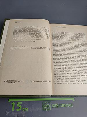 Ювелирные камни