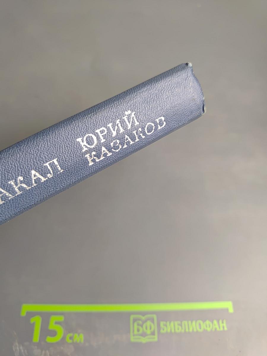 Во сне ты горько плакал. Избранные рассказы
