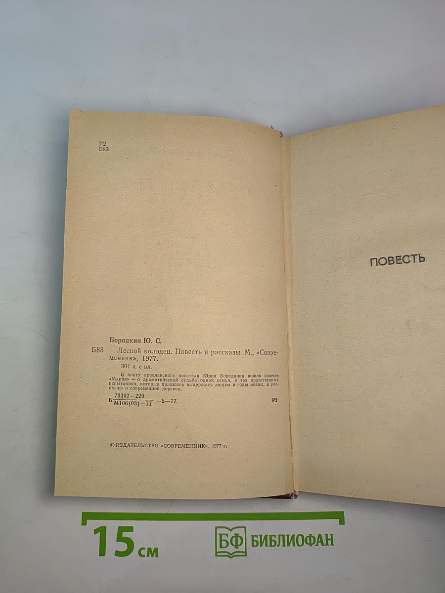 Лесной колодец