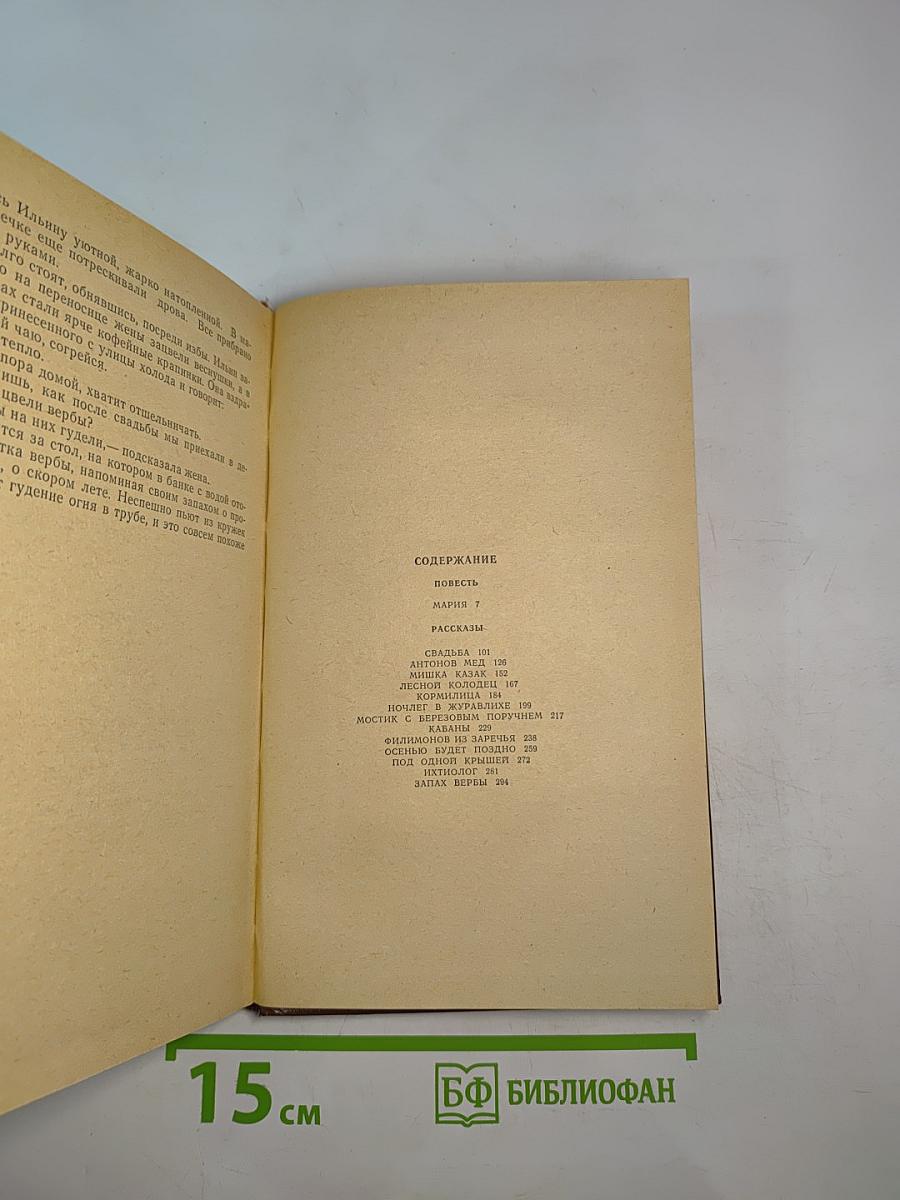 Лесной колодец