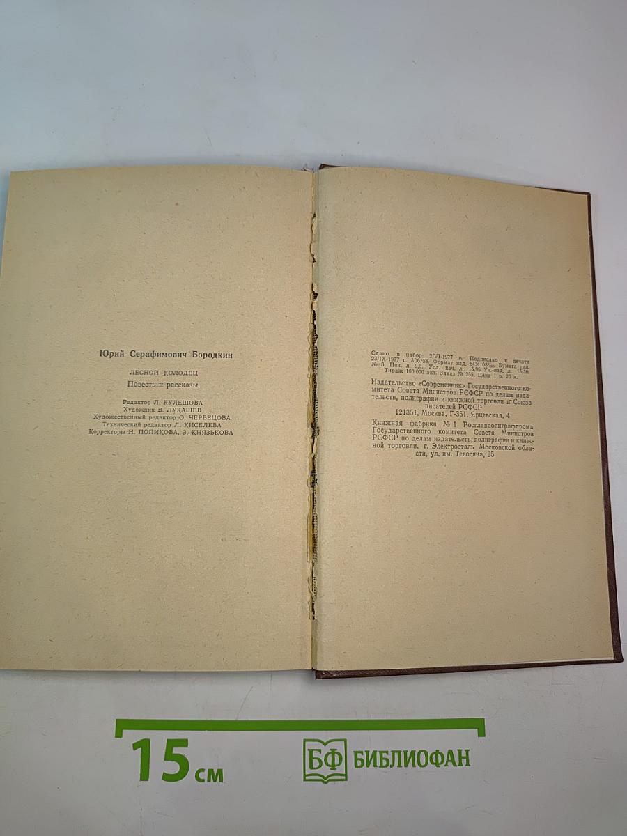 Лесной колодец