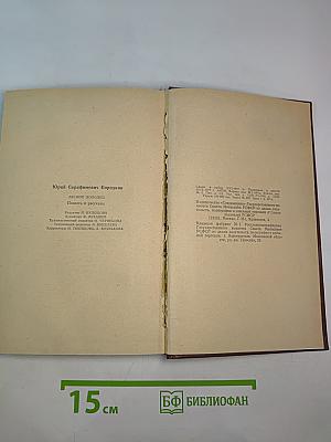 Лесной колодец