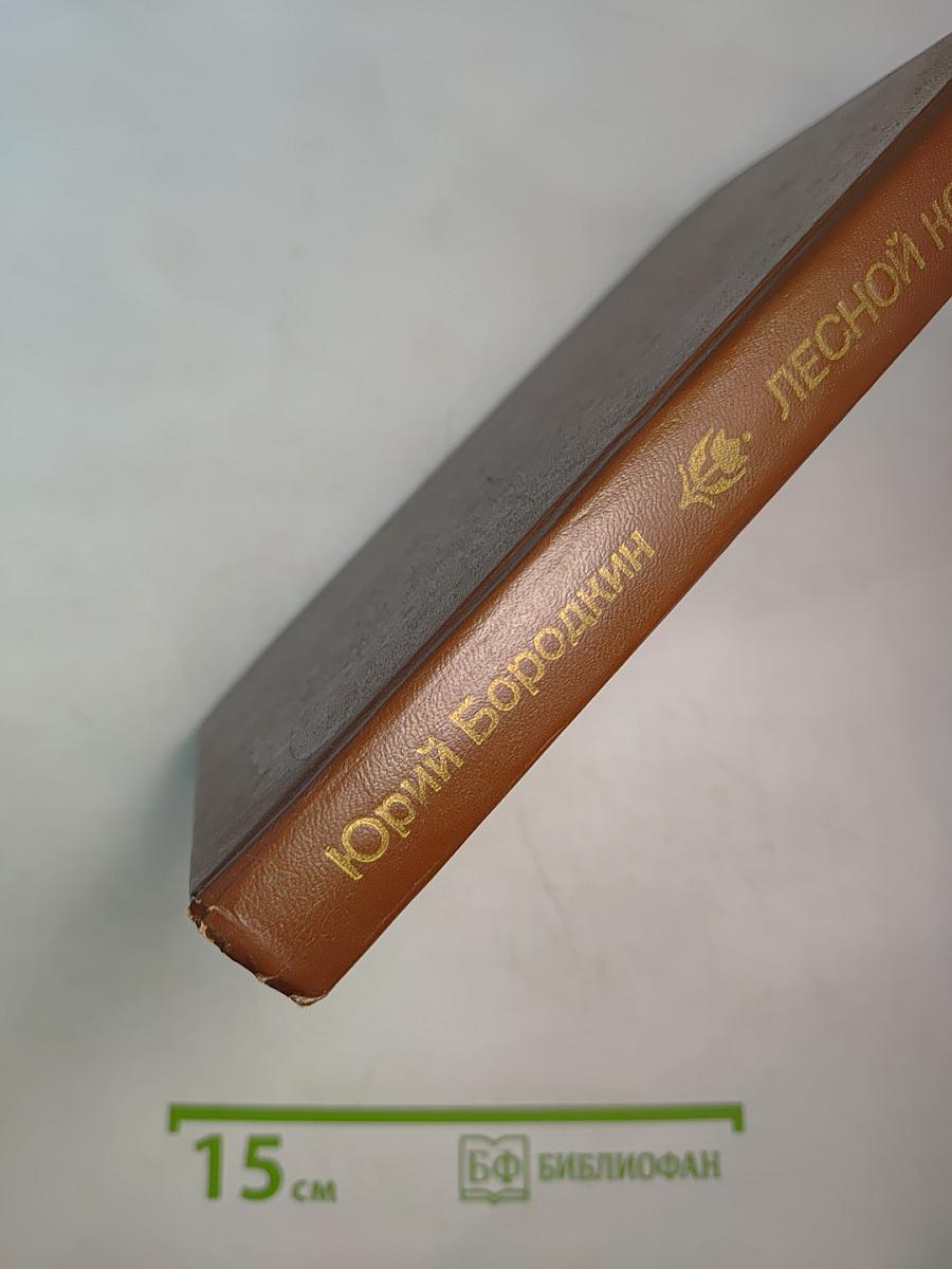 Лесной колодец