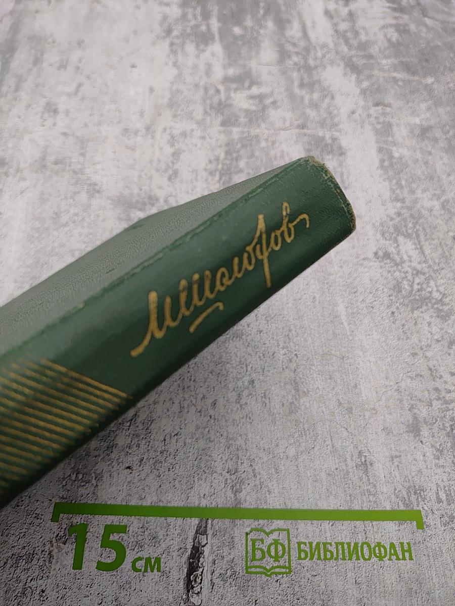 Тихий Дон. Собрание сочинений. Том 2. Книга первая