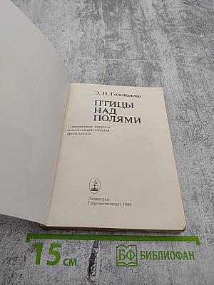 Птицы над полями