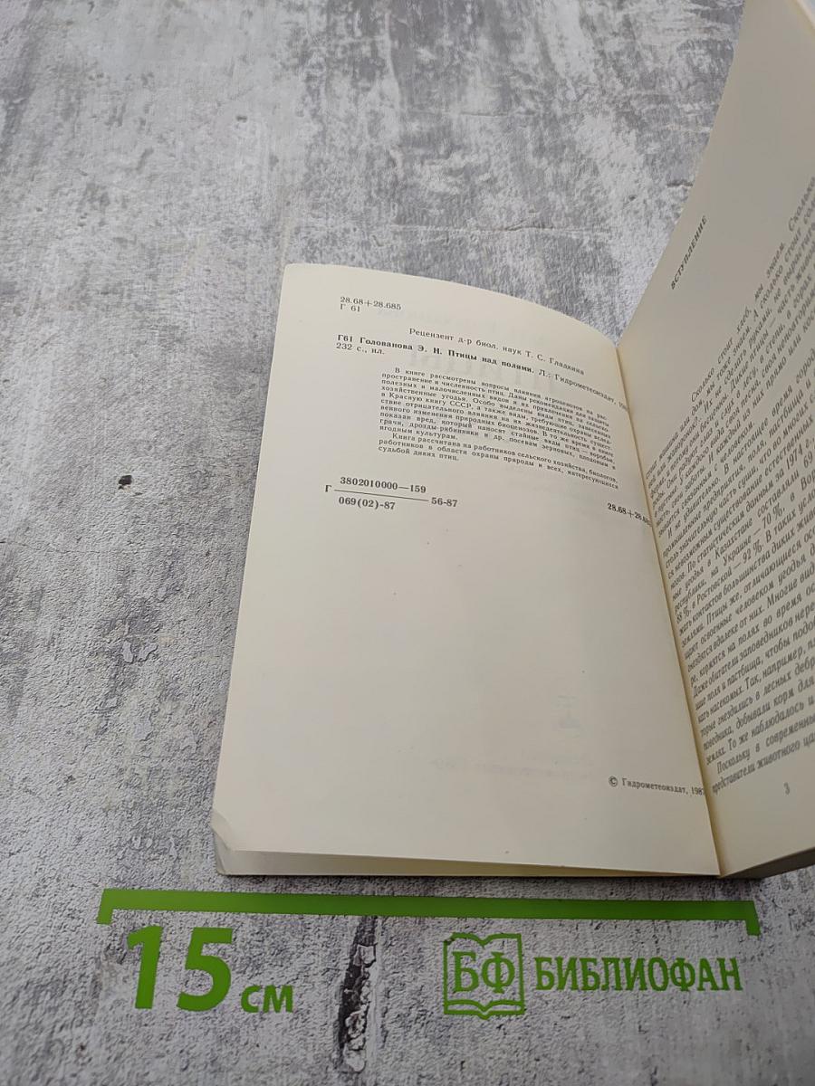 Птицы над полями