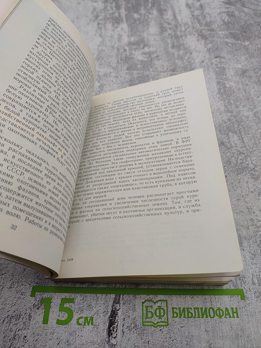 Птицы над полями