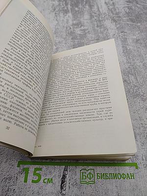 Птицы над полями