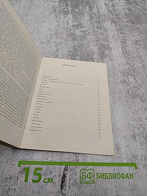 Птицы над полями