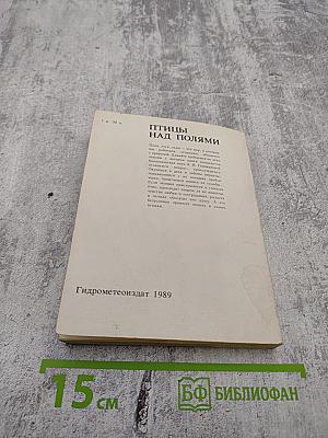 Птицы над полями