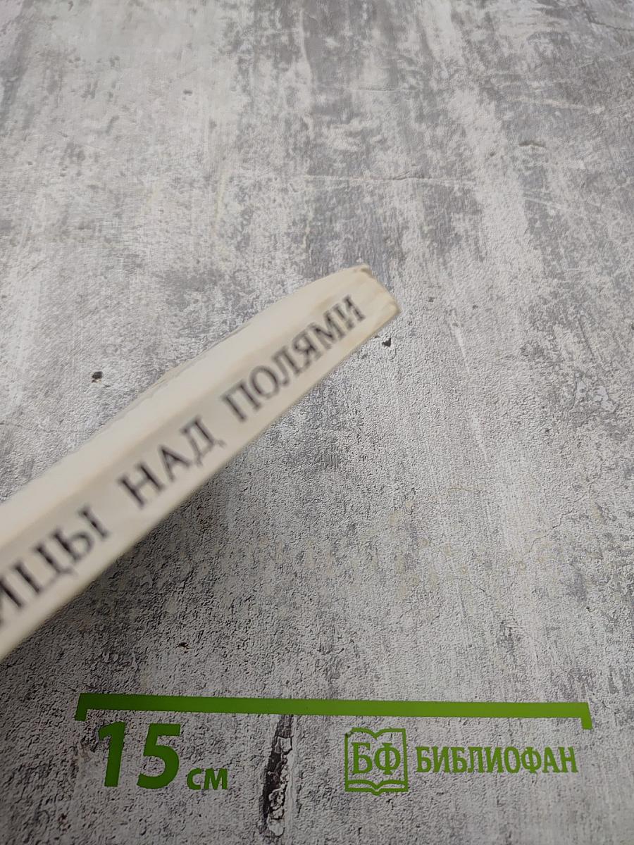 Птицы над полями