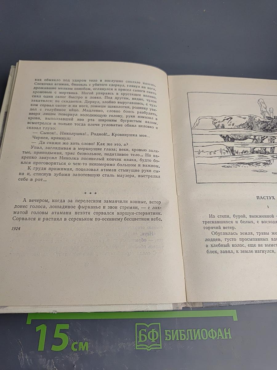 Донские рассказы