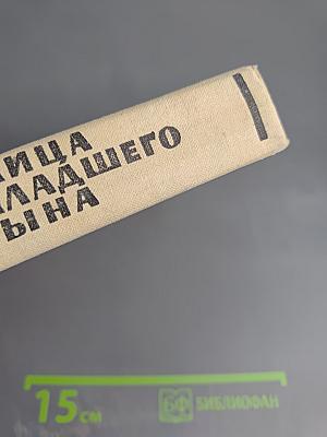 Улица младшего сына