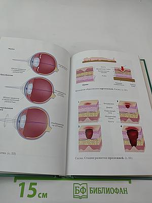 Том 15: пос-ран