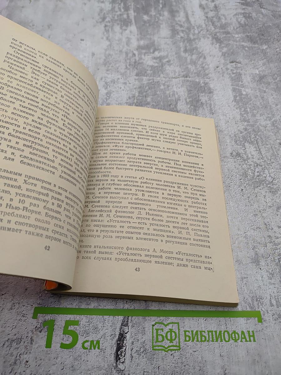 Внимание: Шум!