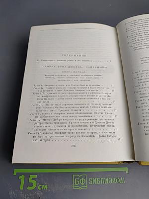 История Тома Джонса, найденыша