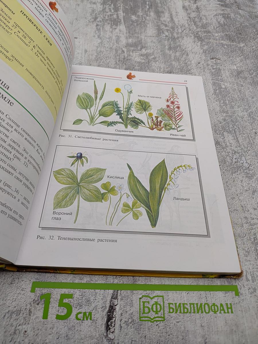 Естествознание 5 класс