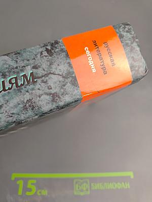 Жизнь по понятиям. Русская литература сегодня